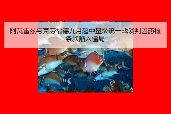 a-wa-lei-zi-yu-ke-lao-fu-de-jiu-yue-chao-zhong-liang-ji-tong-yi-zhan-tan-pan-yin-yao-jian-tiao-kuan-xian-ru-jiang-ju-3-161.jpg